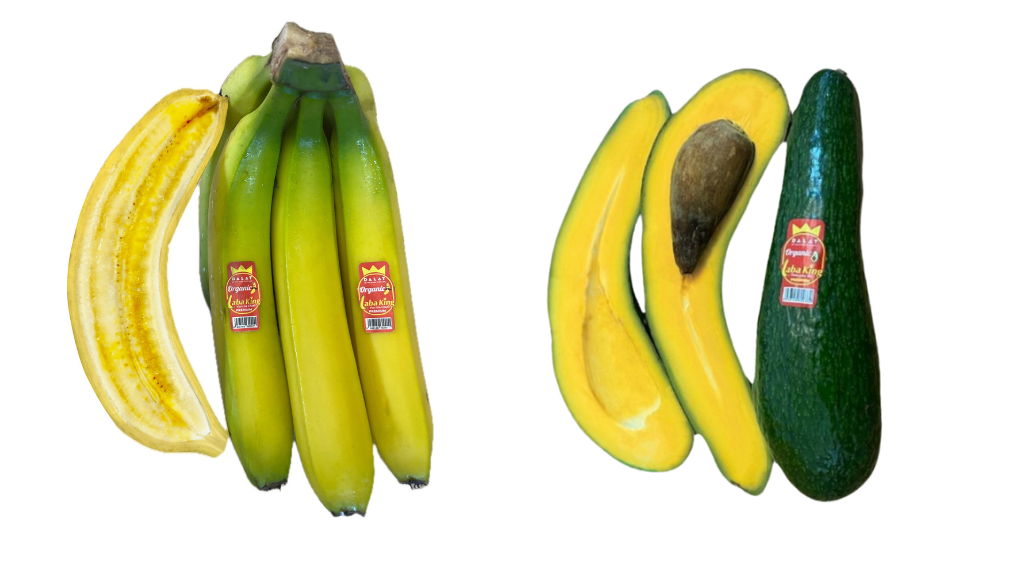 Chuoi Laba King 1000x600 1